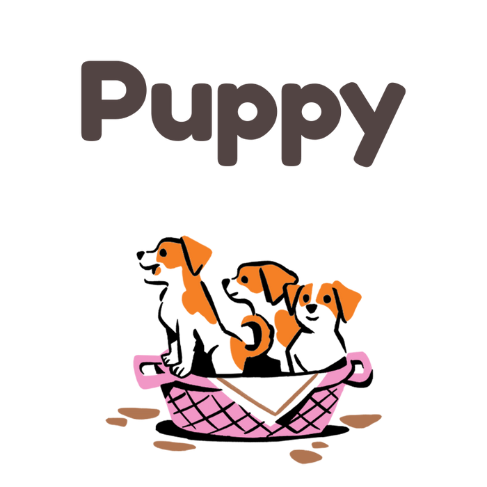 Puppy Food