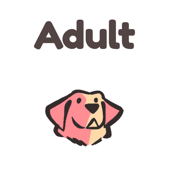 Adult dog food