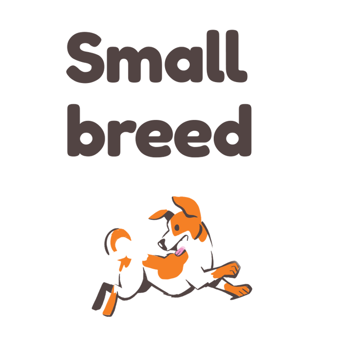 Small breed dog food