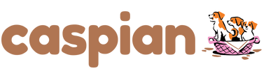 Caspian