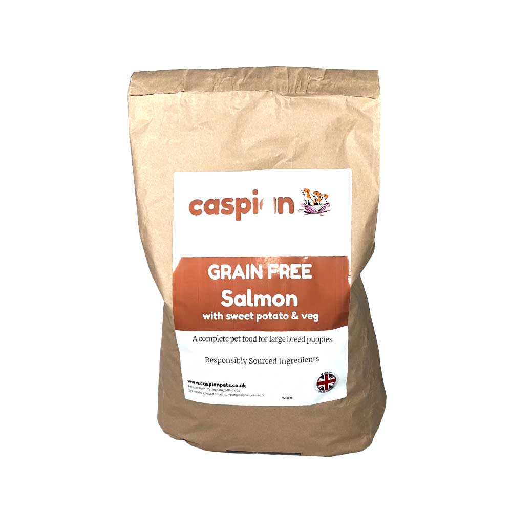 Grain free salmon with sweet potato carrots and peas for large breed puppies and junior dogs