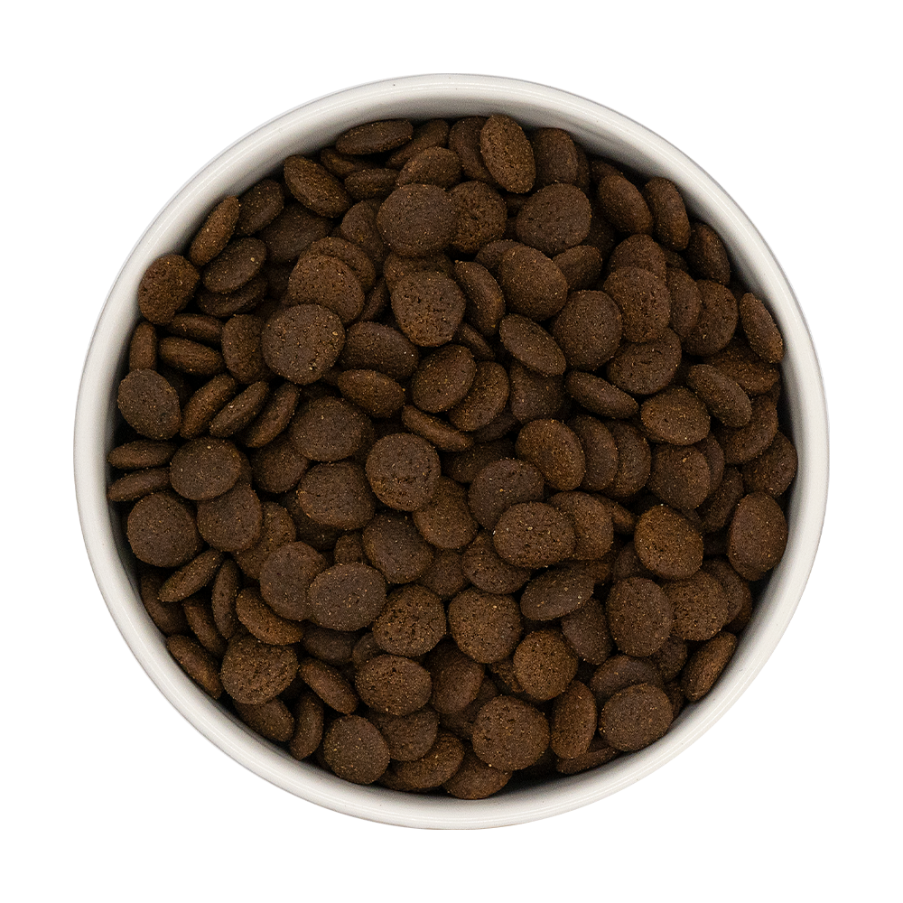 80% Duck, Pork, Turkey & Beef Complete Grain Free Dog Food