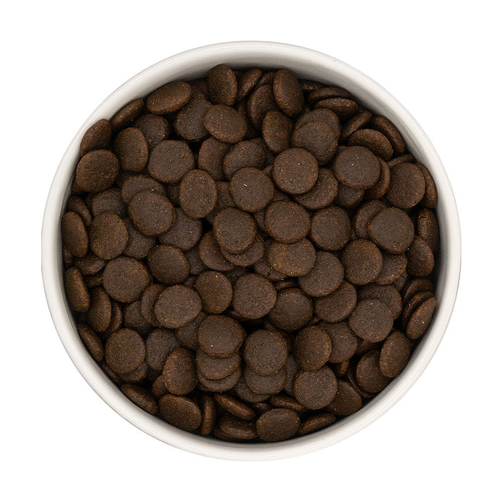 80% Chicken, Turkey, White Fish and Salmon Complete Grain Free Dog Food