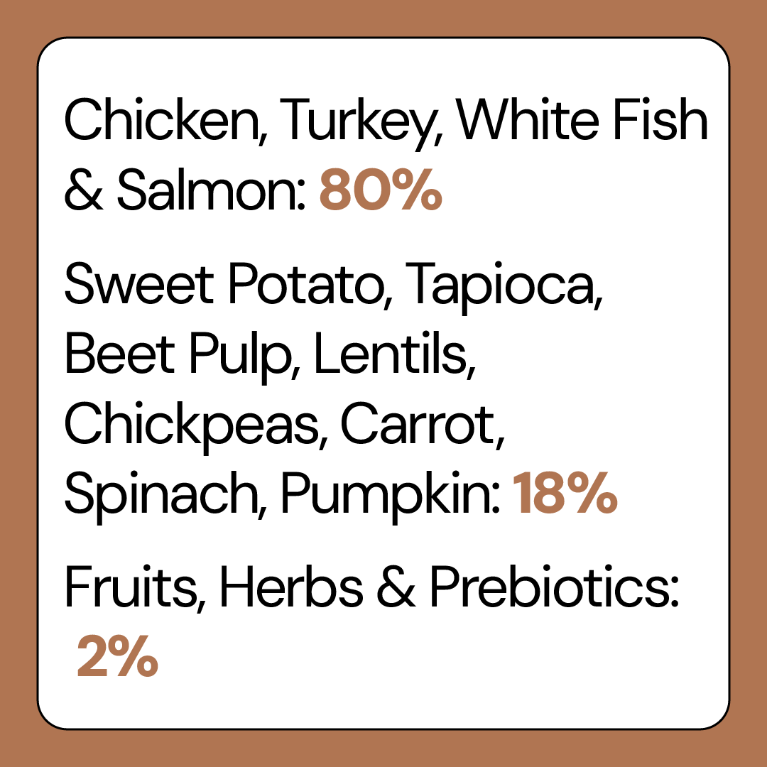 80% Chicken, Turkey, White Fish and Salmon Complete Grain Free Dog Food