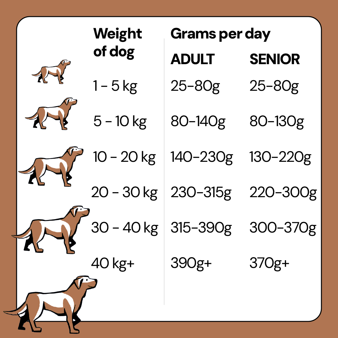 80% Chicken, Turkey, White Fish and Salmon Complete Grain Free Dog Food