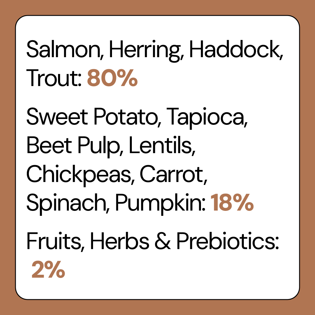 80% Salmon, Herring, Haddock and Trout Complete Grain Free Dog Food