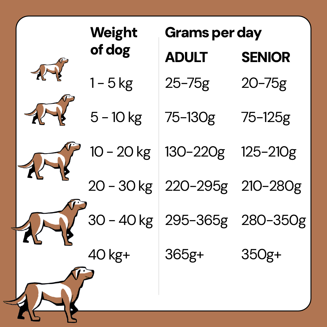 80% Salmon, Herring, Haddock and Trout Complete Grain Free Dog Food