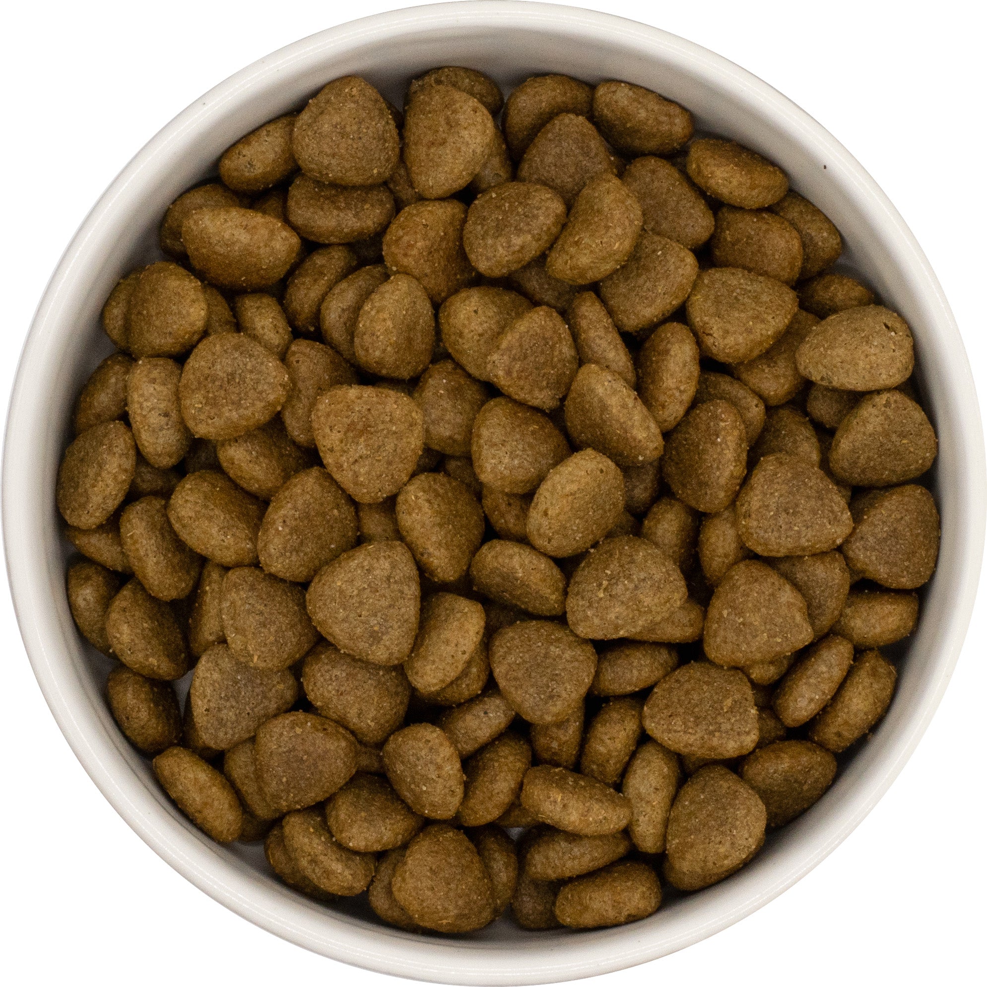 Fish with Rice Hypoallergenic Wheat Free Dog Food for Adult Dogs