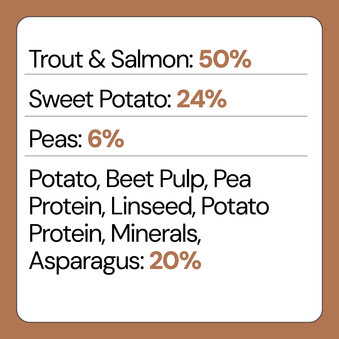 Low Fat Grain Free Dog Food Salmon Fish with Sweet Potato