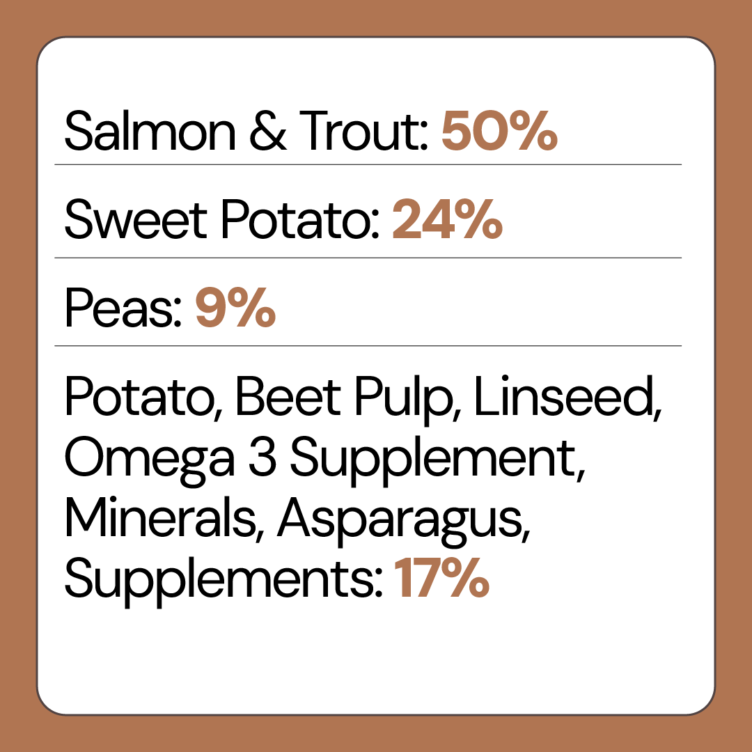 Salmon Trout Fish Grain Free Dog Food for Adult Dogs