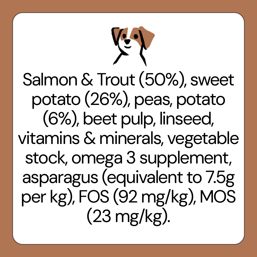 Allergy Friendly Dog Food for Adult Dogs