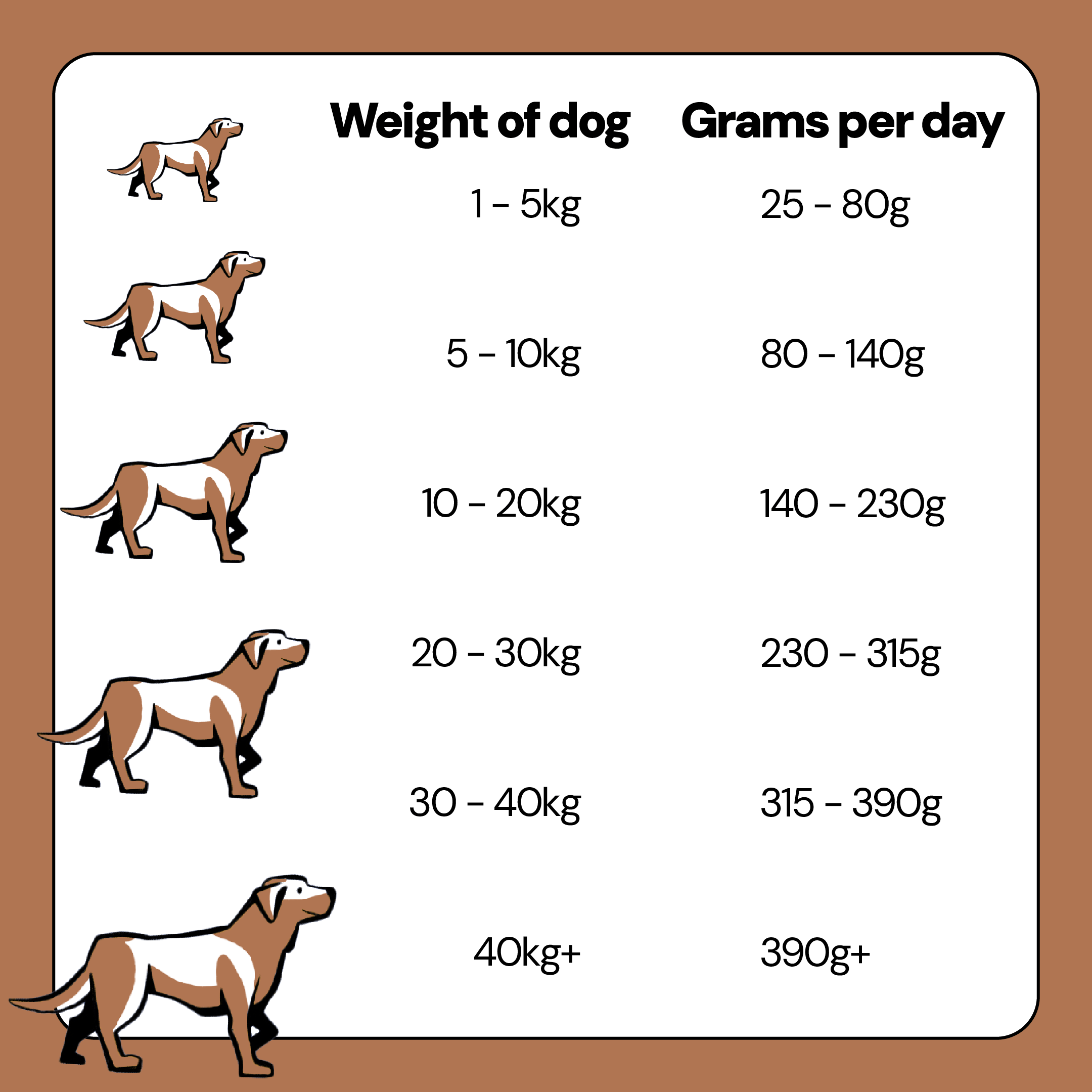Veterinary Diets Skin and Coat Hydrolysed Dog Food