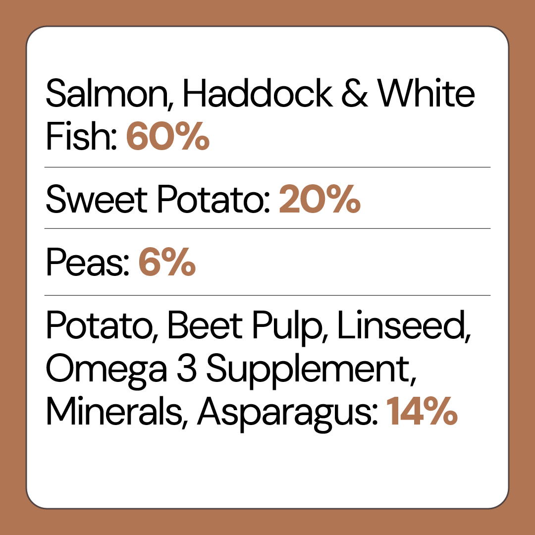 Salmon Haddock and Fish Grain Free Puppy Food