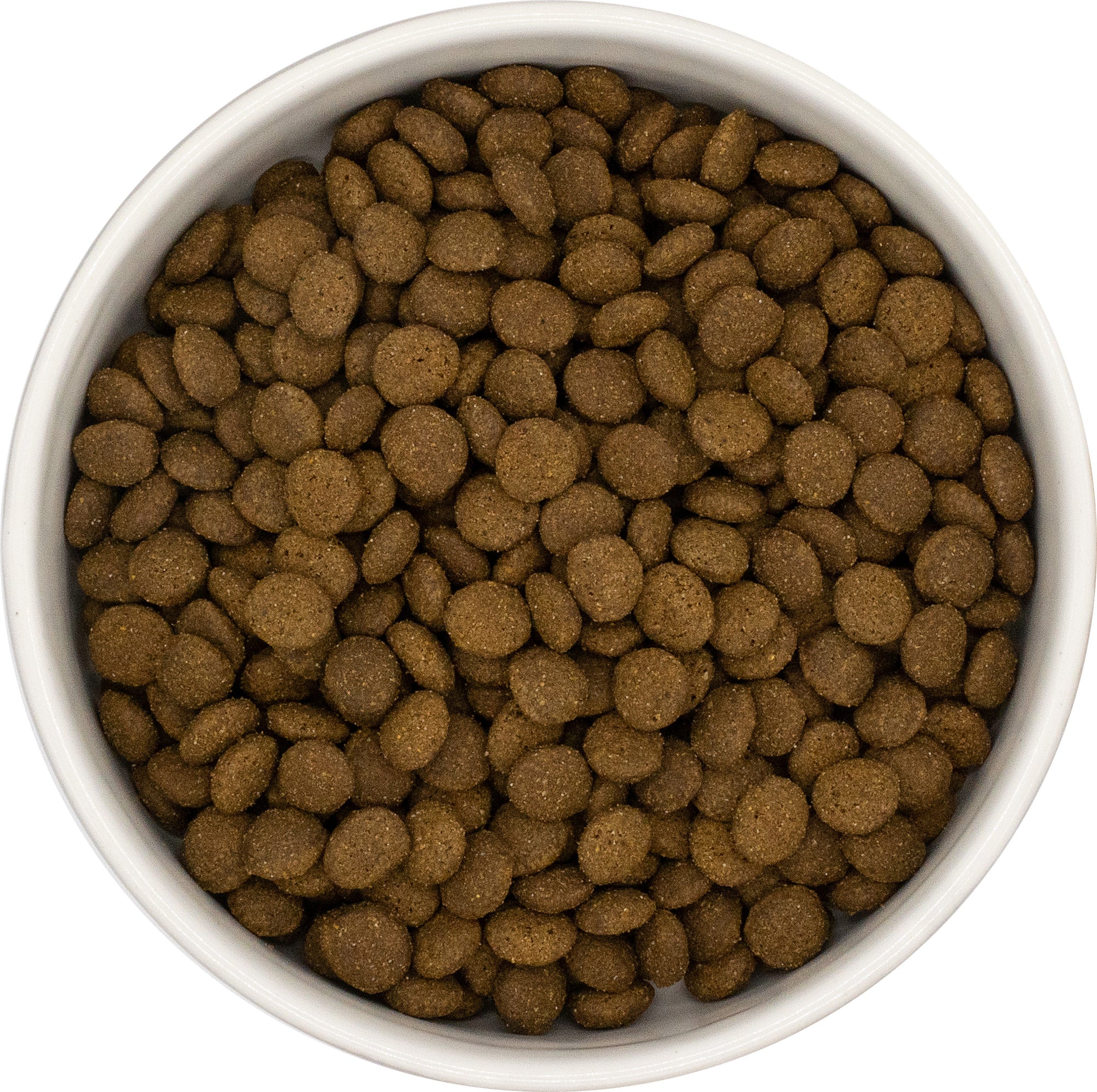Salmon with White Fish Grain and Wheat Free Cat Food