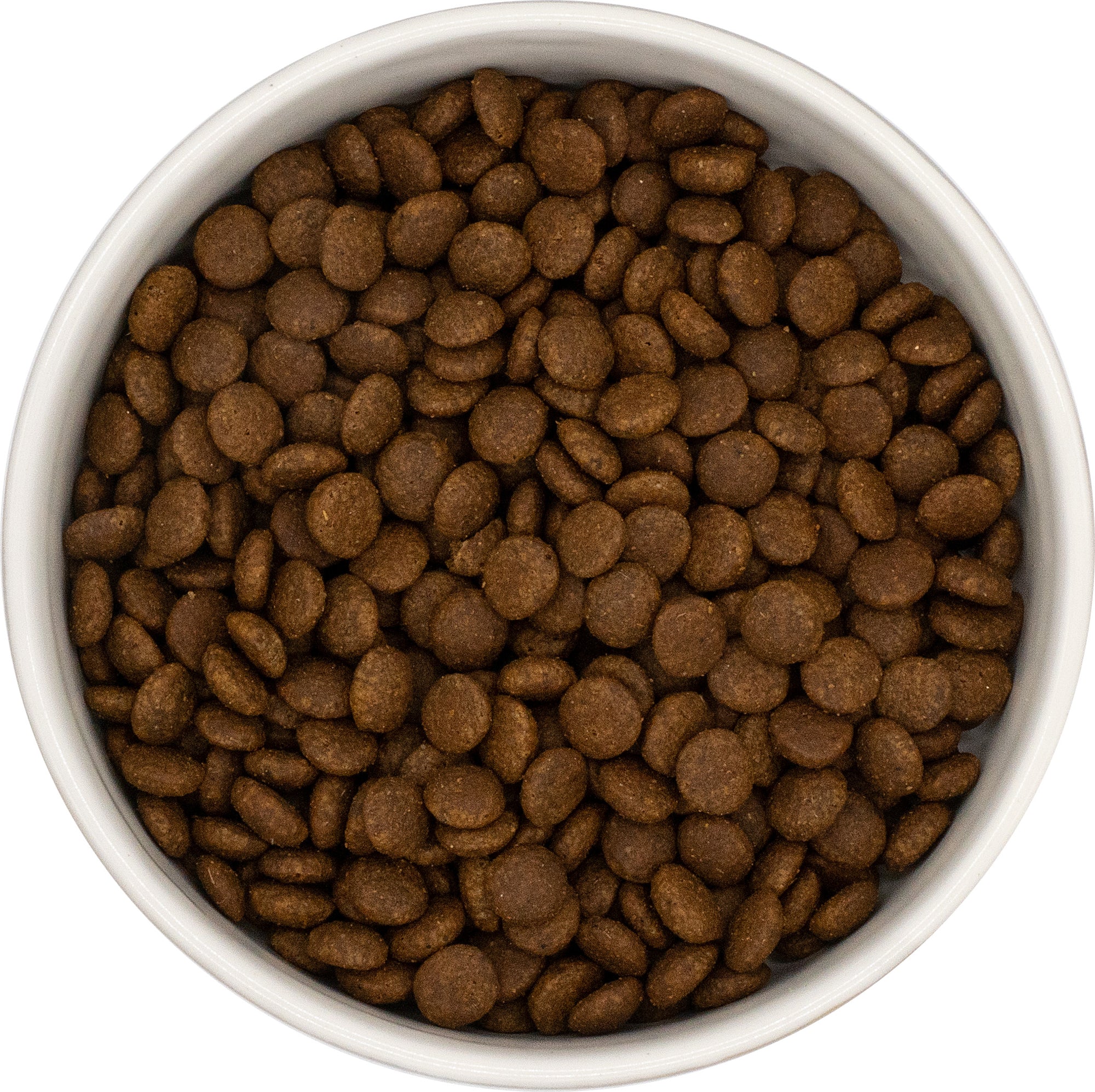 Turkey with Chicken Grain and Wheat Free Cat Food