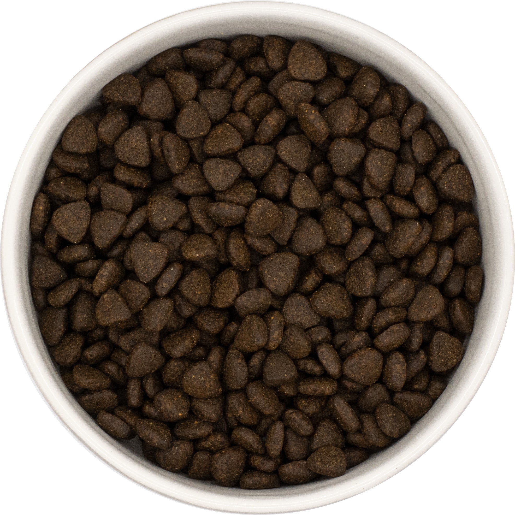 Free Range Salmon Grain Free Puppy Food