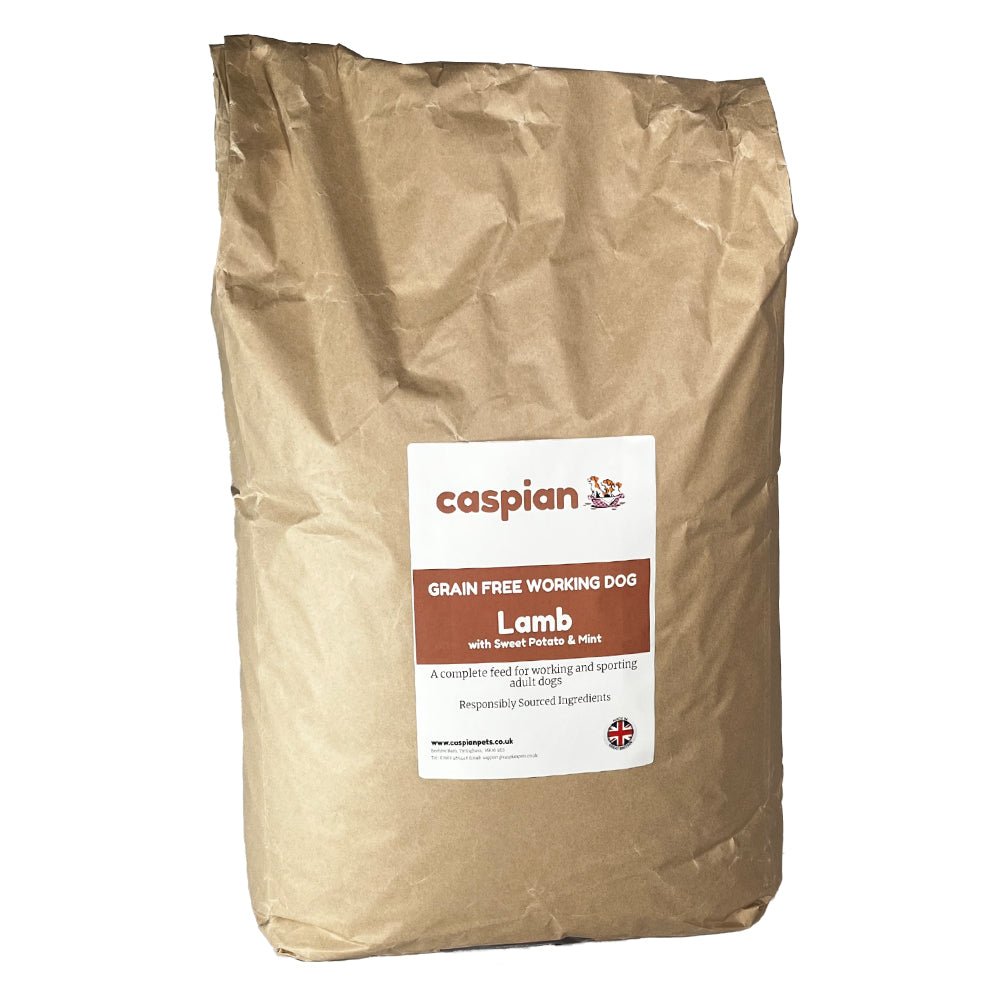 Lamb with Sweet Potato Grain Free Dog Food for Adult Dogs