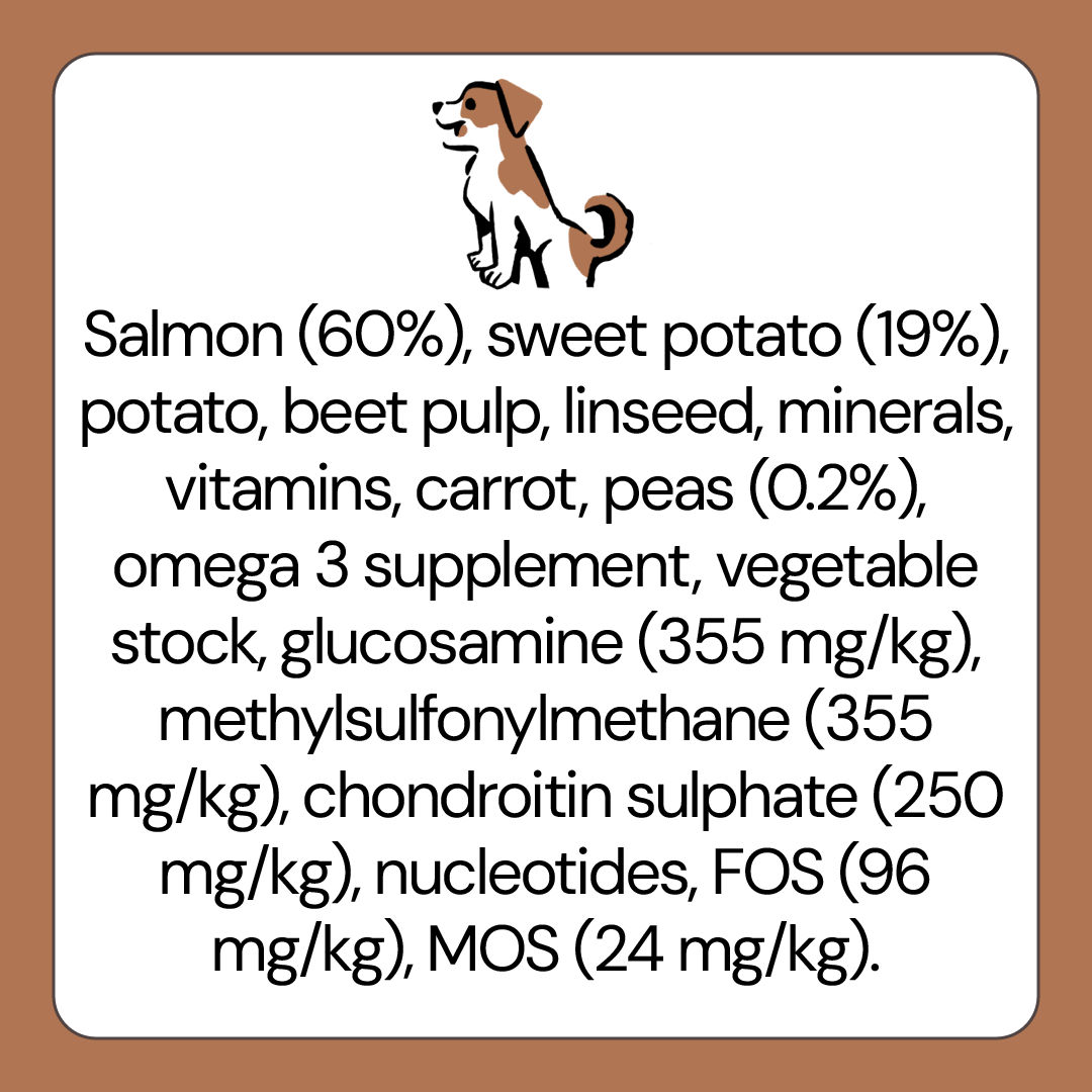 Salmon Grain Free Puppy Food for Large & Giant Breed Puppies