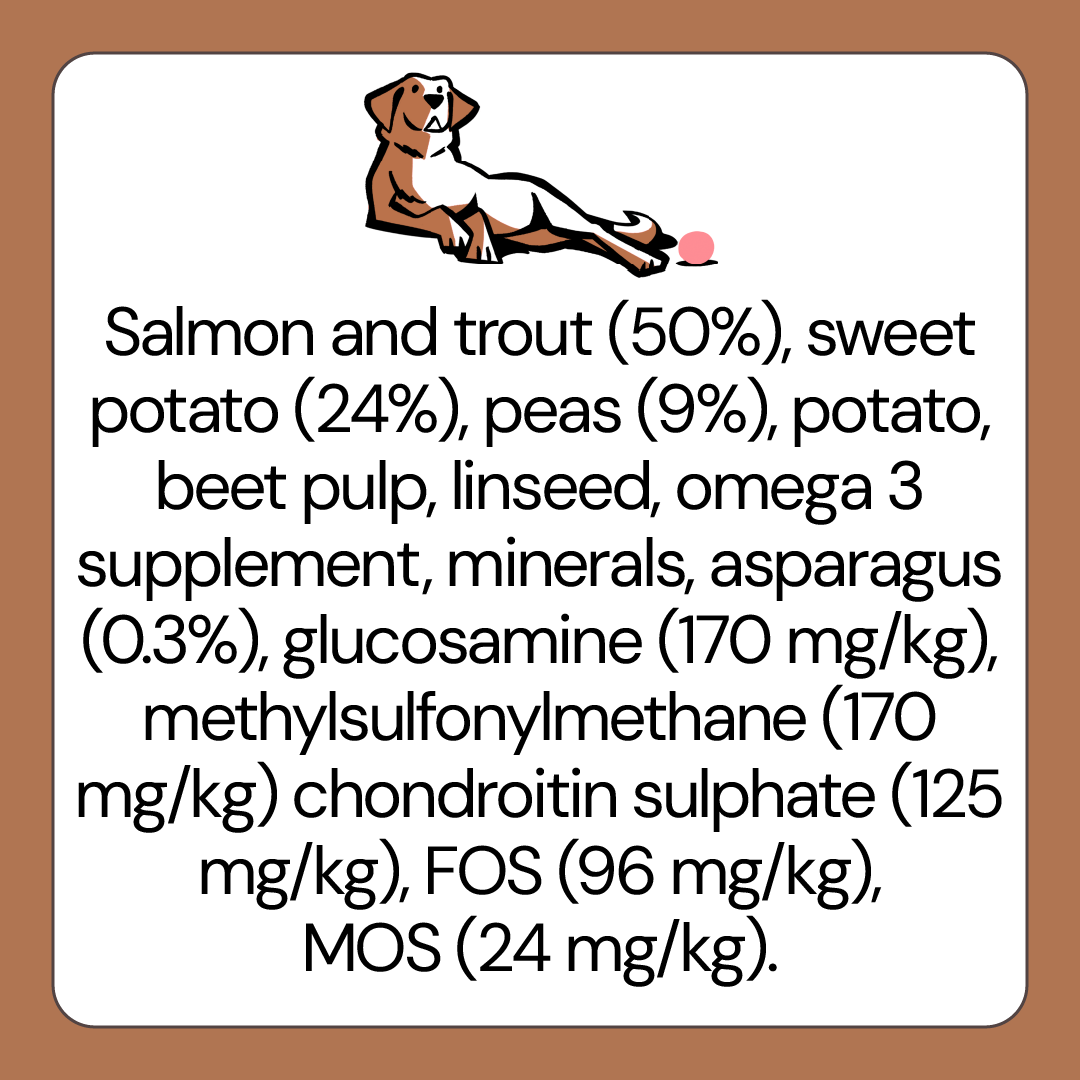 Salmon Fish Grain Free Dog Food for Large & Giant Breed Dogs