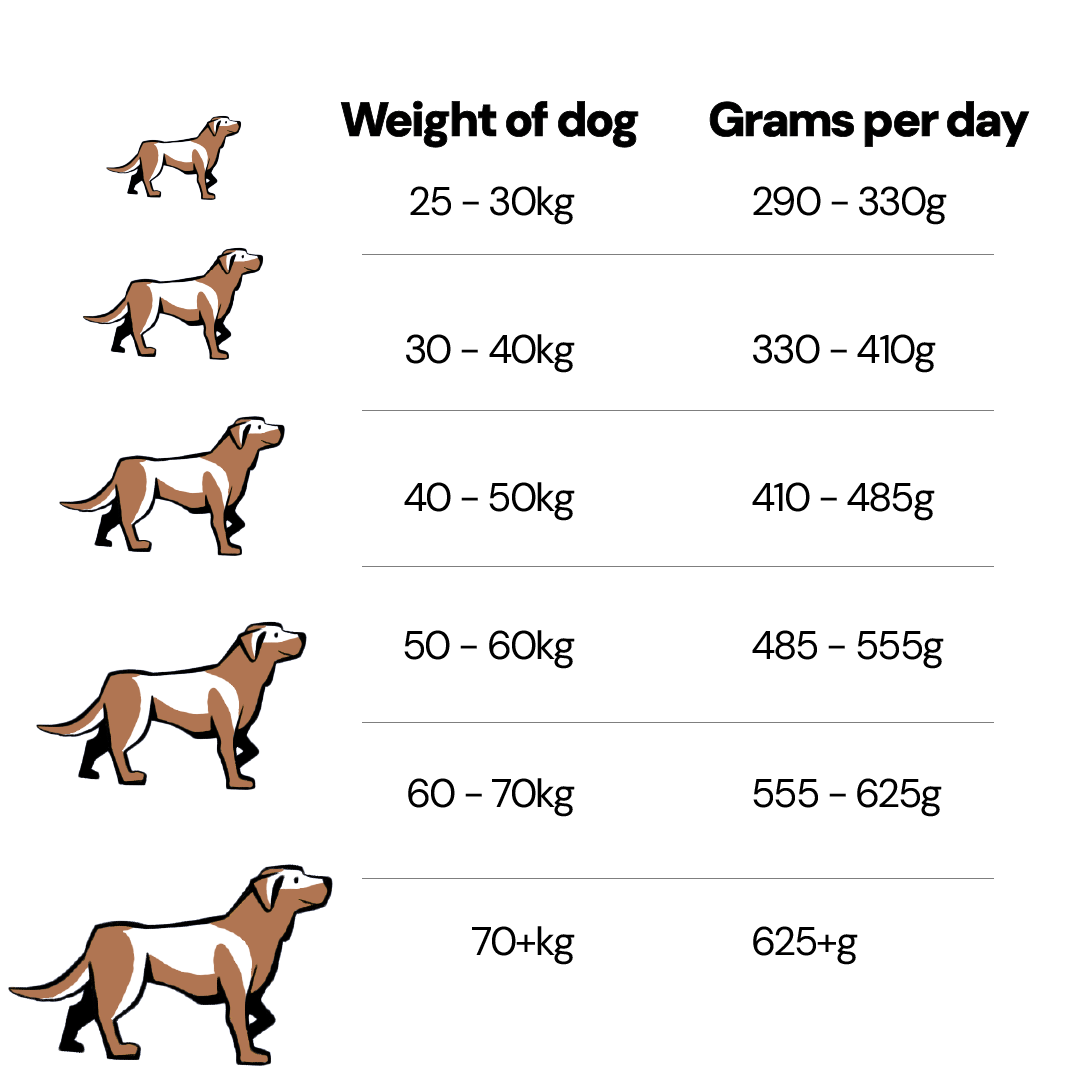 Salmon Fish Grain Free Dog Food for Large & Giant Breed Dogs