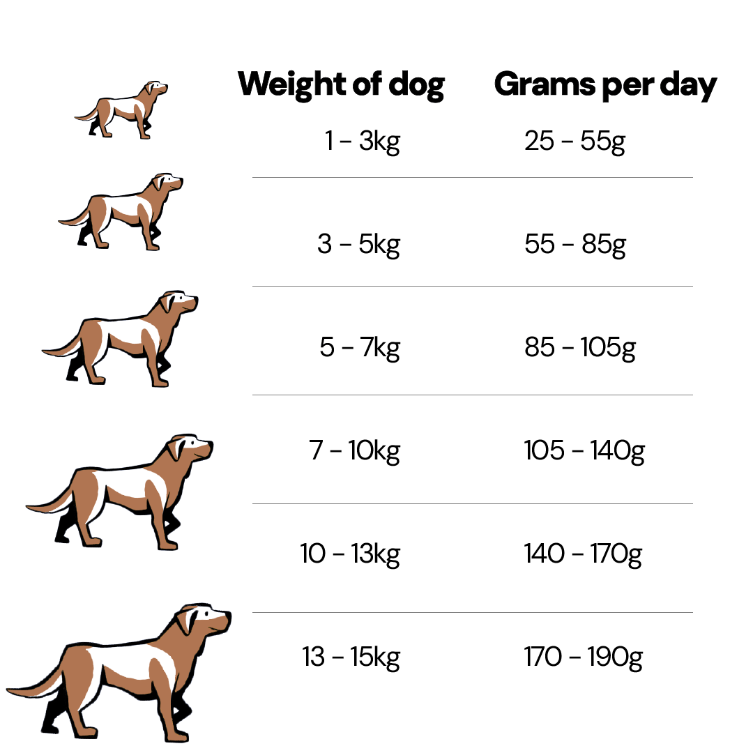Salmon and Fish Grain Free Dog Food for Small Breed Dogs