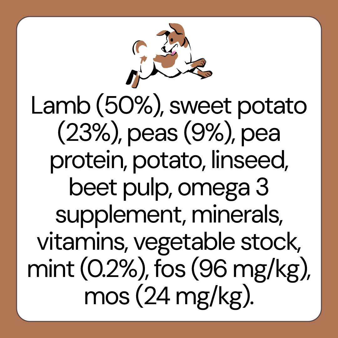 Lamb Grain Free Dog Food for Small Breed Dogs