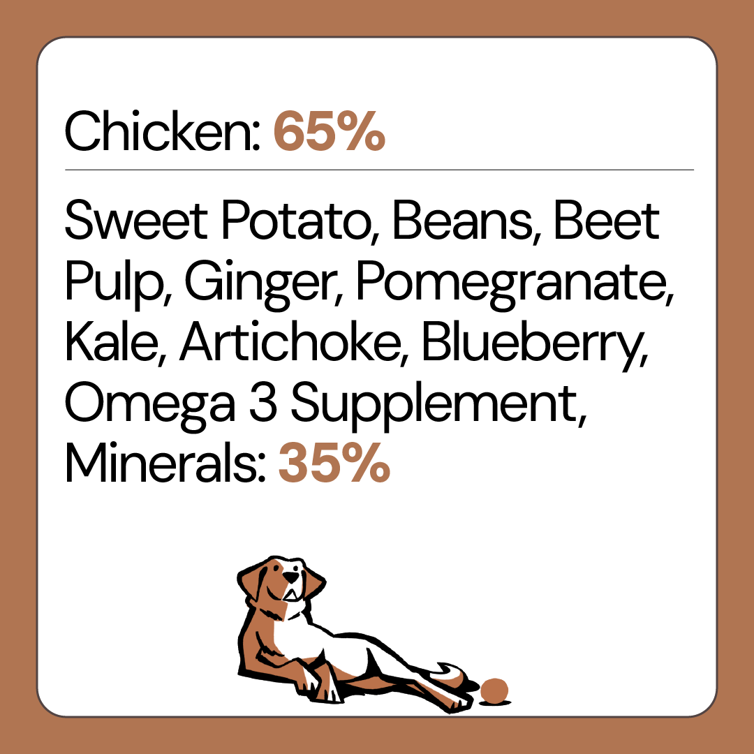 Free Range Chicken Grain Free Dog Food for Adult Dogs