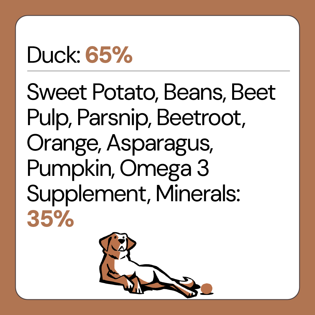 Free Range Duck Grain Wheat Free Dog Food for Adult Dogs