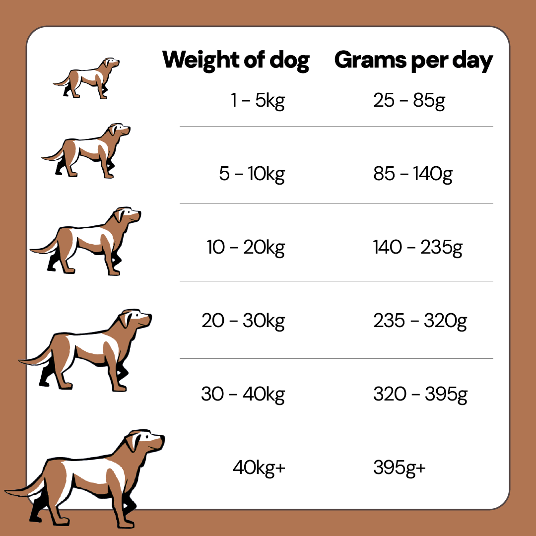 Free Range Duck Grain Wheat Free Dog Food for Adult Dogs