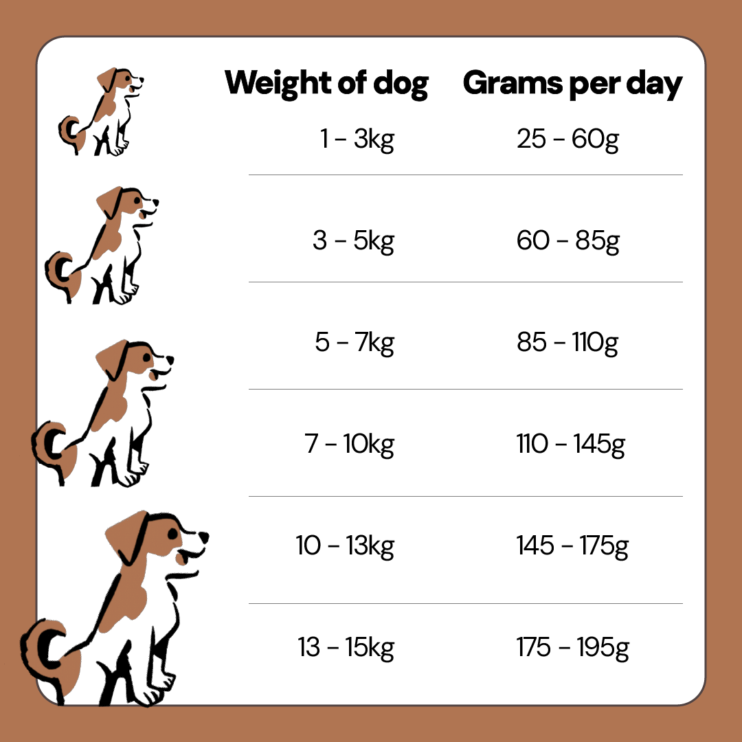 Low Fat Free Range Turkey Food for Small Breed Senior Dogs