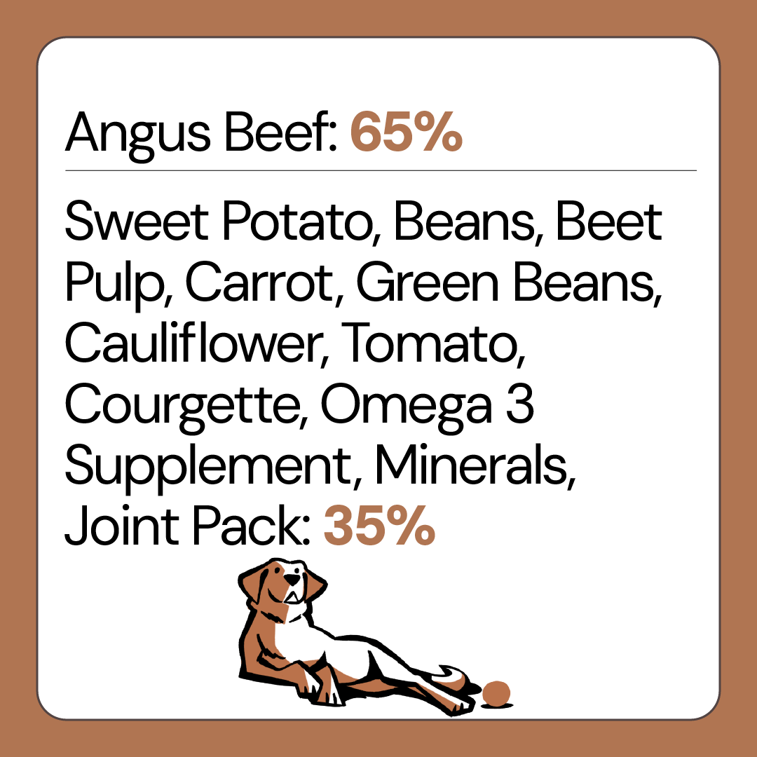 Aberdeen Angus Beef Grain Wheat Free Dog Food for Adult Dogs