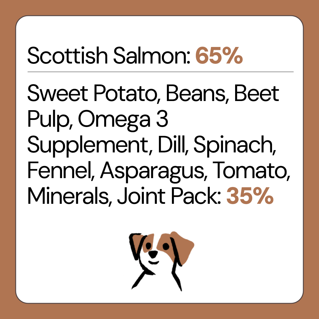Free Range Salmon Grain Free Puppy Food