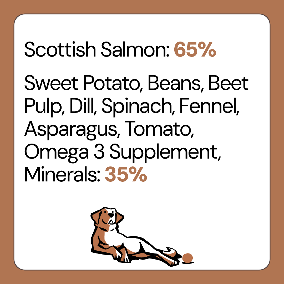 Free Range Salmon Grain Free Dog Food for Adult Dogs