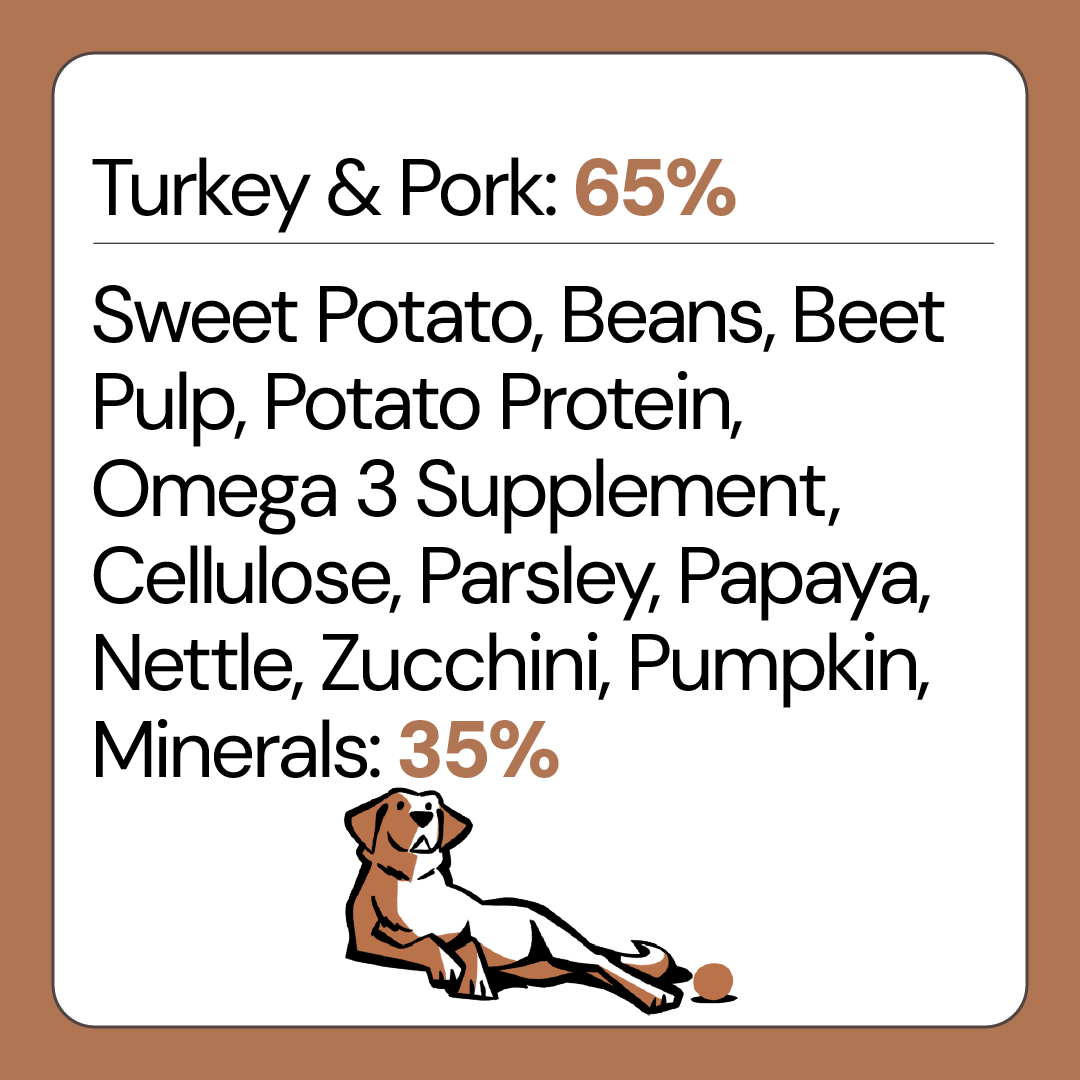 Free Range Turkey Grain Free Dog Food for Adult Dogs