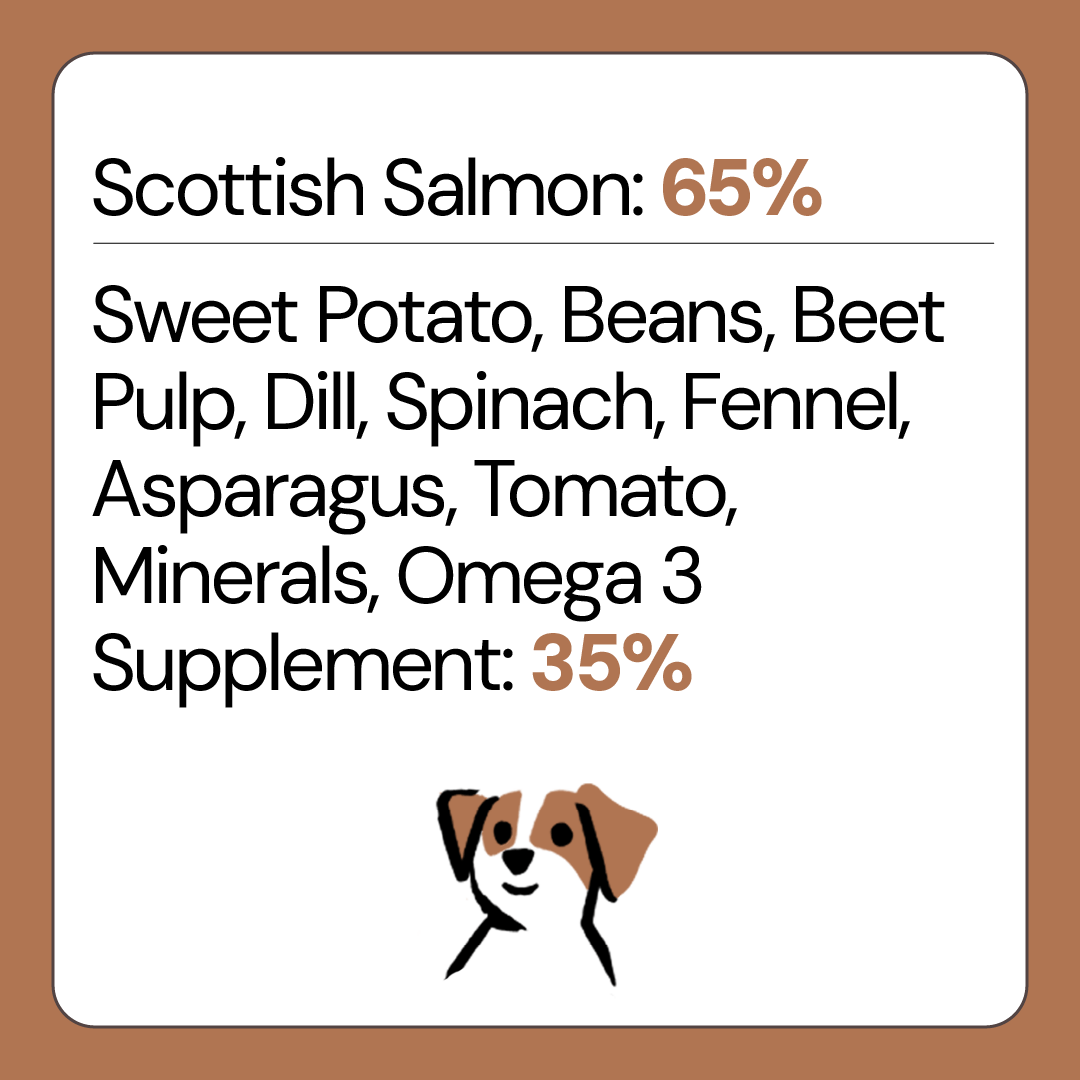 Free Range Turkey Grain Free Puppy Food