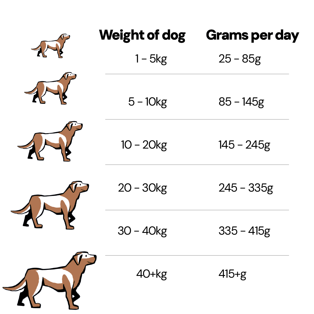 Low Fat Grain Free Dog Food Turkey with Sweet Potato