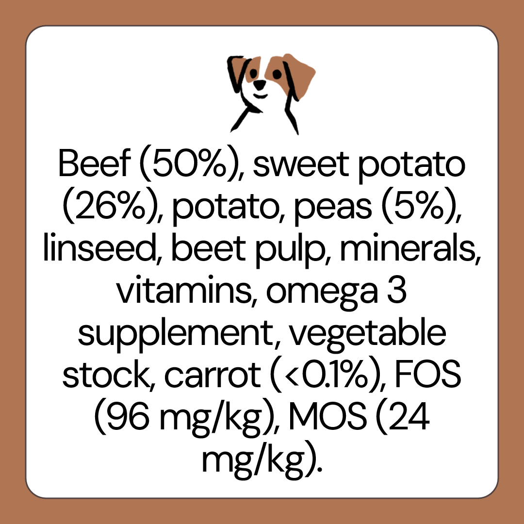 Allergy Friendly Dog Food for Adult Dogs