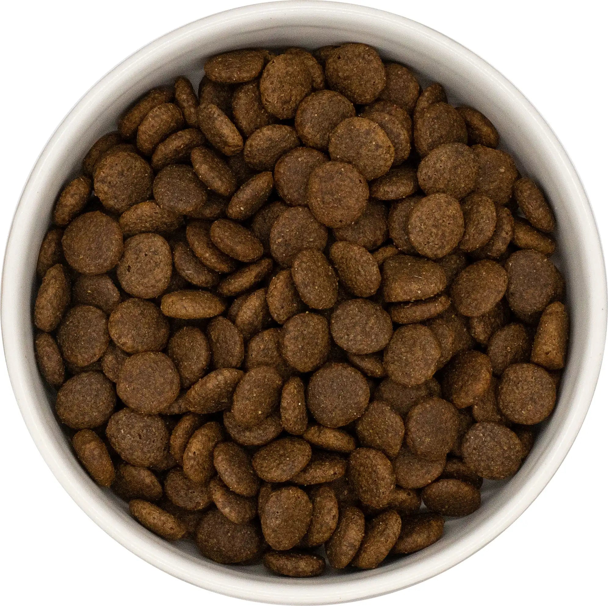 bowl of grain free dog food
