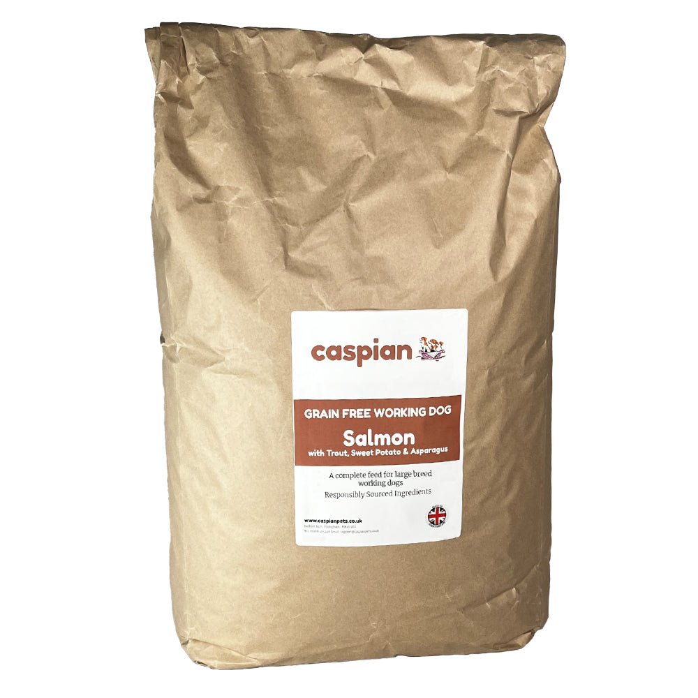 Salmon Fish Grain Free Dog Food for Large & Giant Breed Dogs