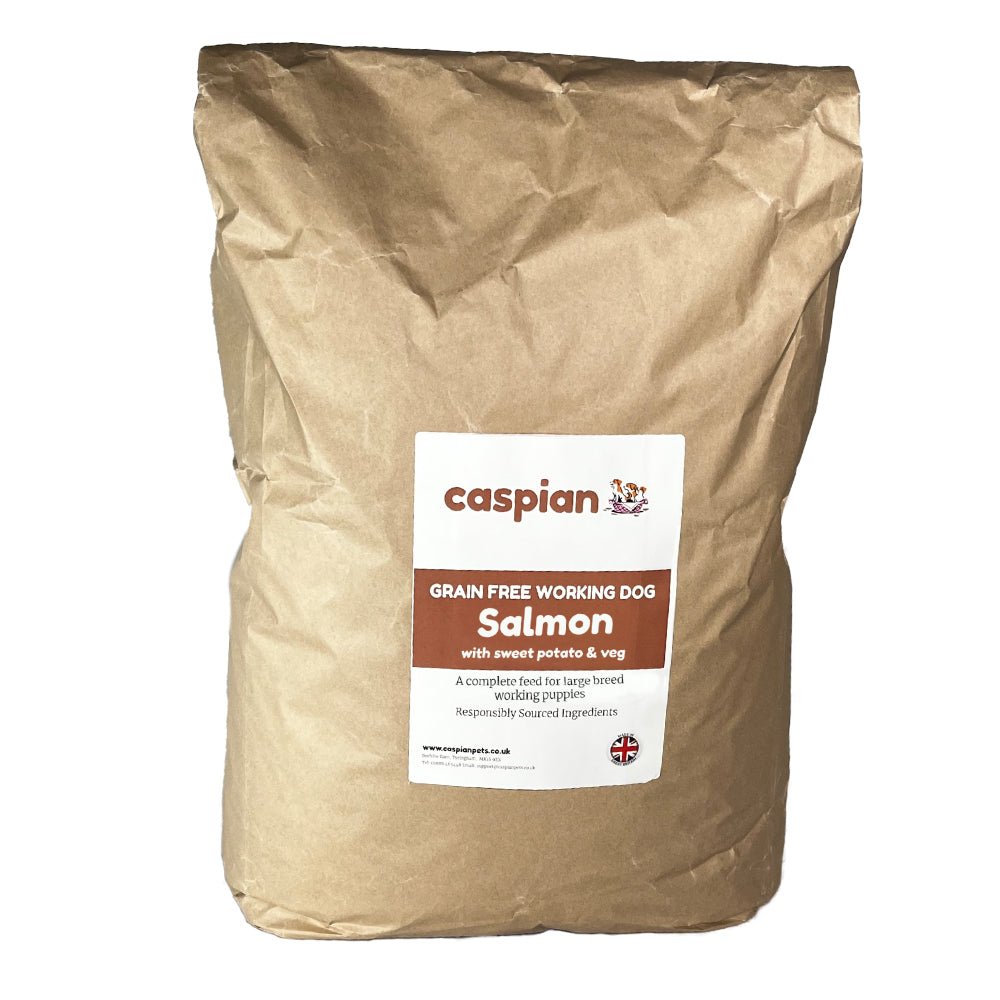 Salmon Grain Free Puppy Food for Large & Giant Breed Puppies