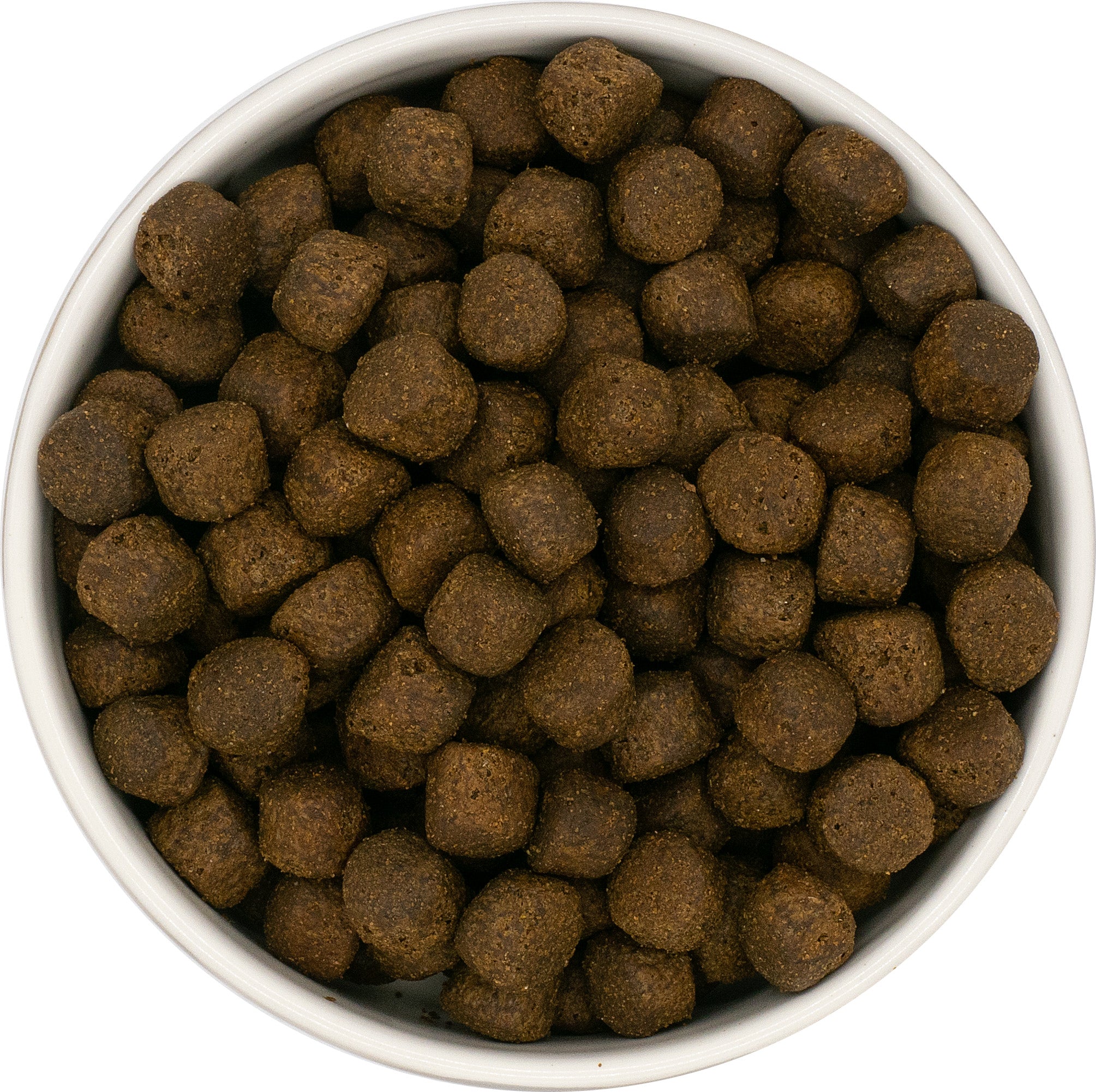 Salmon Grain Free Puppy Food for Large & Giant Breed Puppies