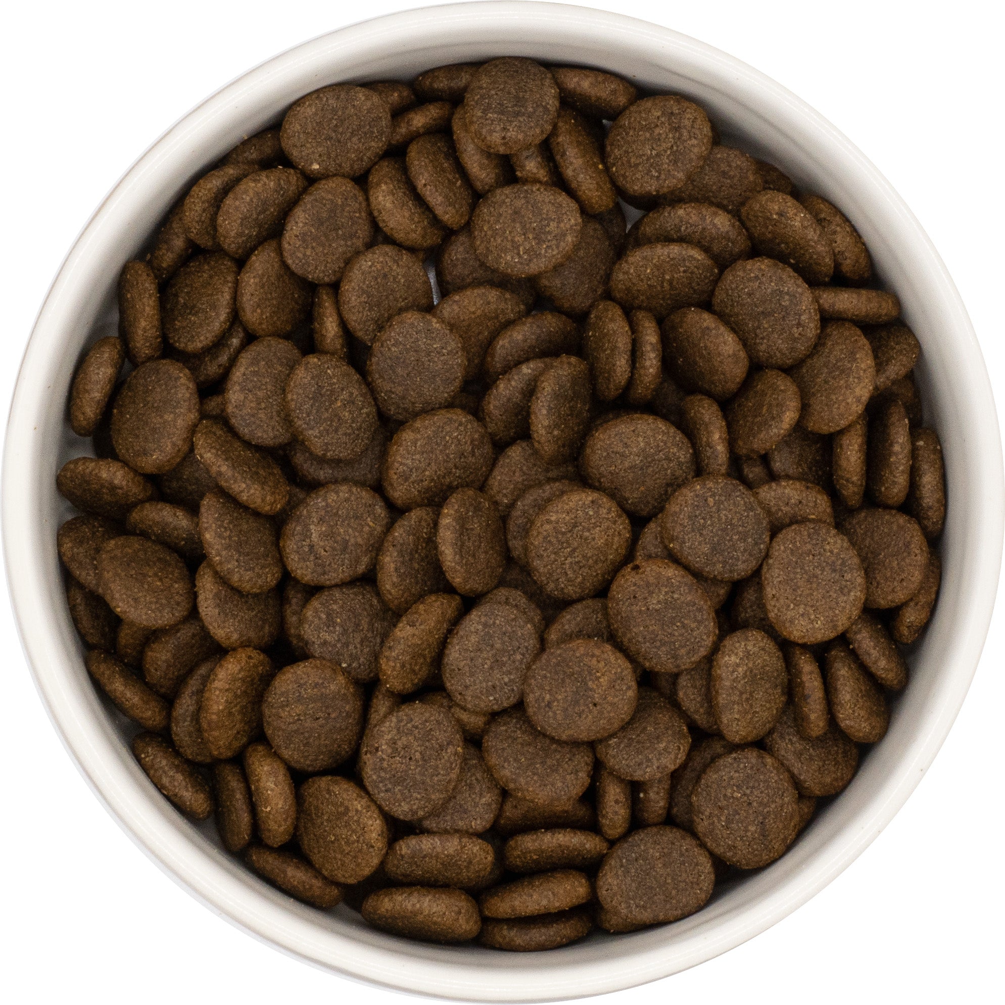 Senior Low Fat Dog Food Salmon Sweet Potato for Older Dogs