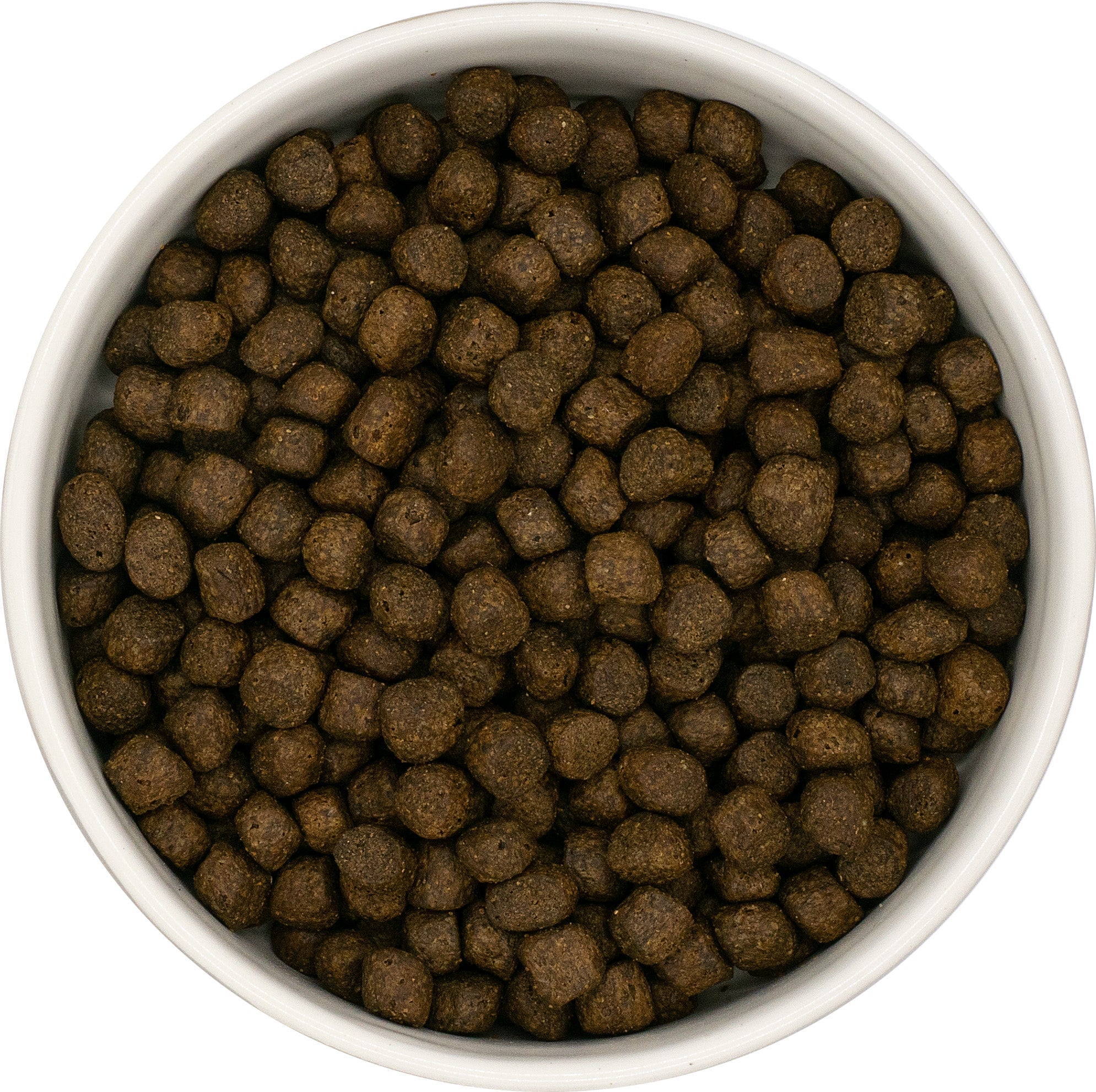Salmon Haddock and Fish Grain Free Puppy Food