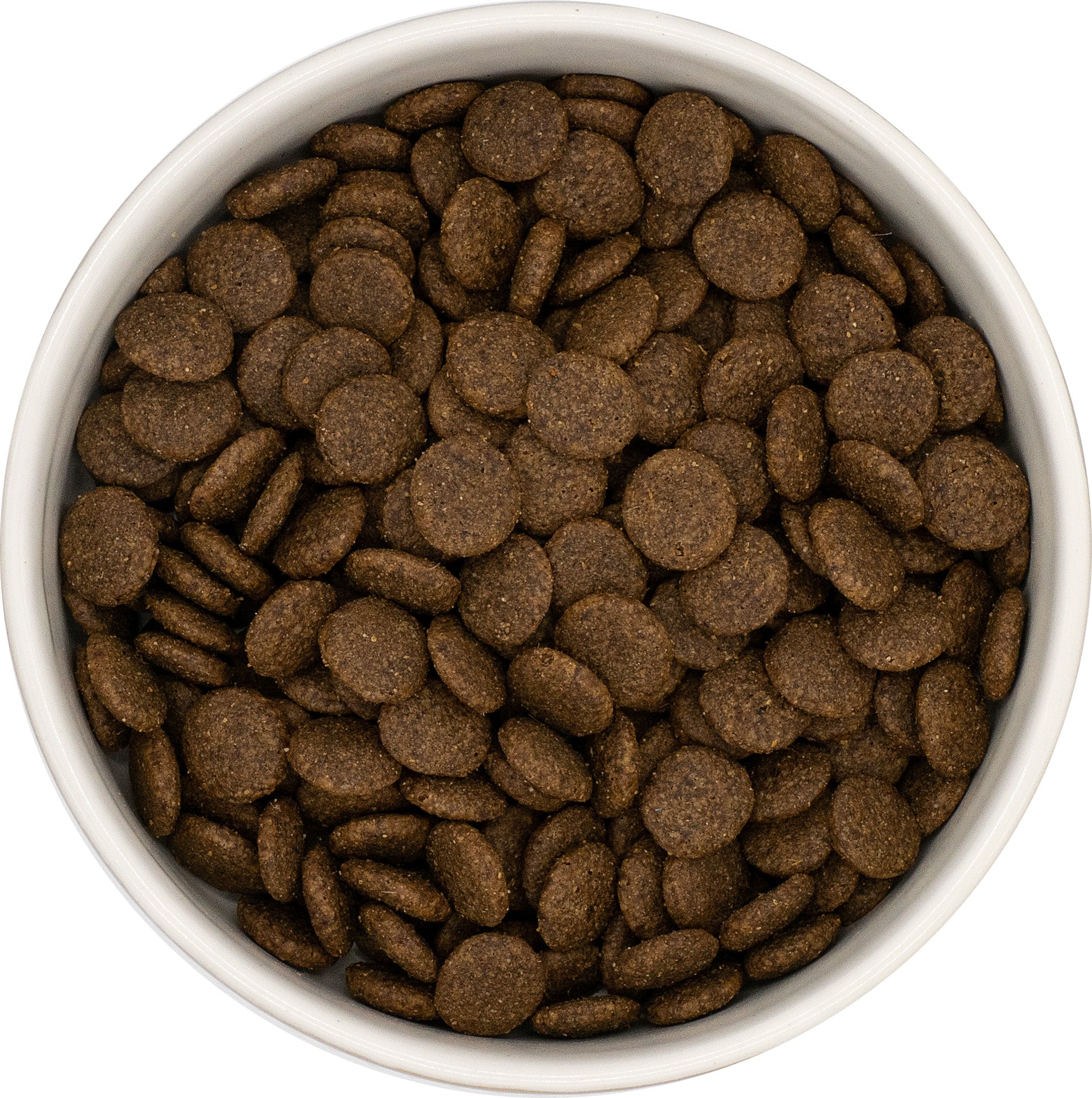 Aberdeen Angus beef grain free dog food for adult dogs
