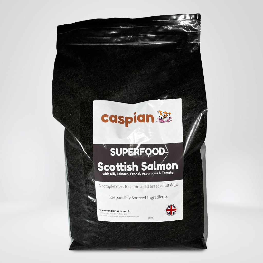 Scottish salmon superfood small breed dog food